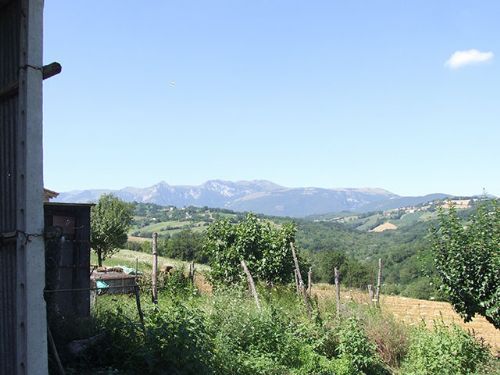 Old farmhouse with a very large barn - 5