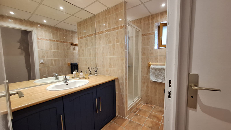 Property in 1.5 ha with 2 houses, lake and barns for sale - 2