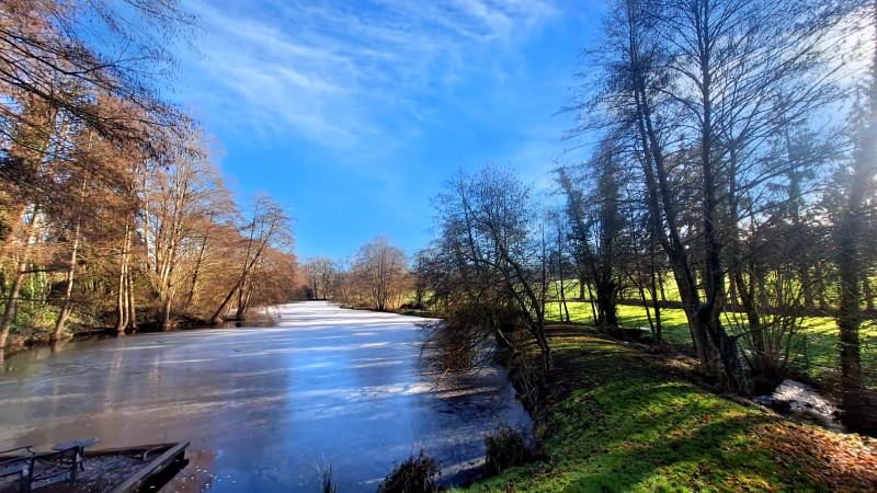 Property in 1.5 ha with 2 houses, lake and barns for sale - 4