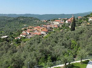 Small residence amongst the olives - 2