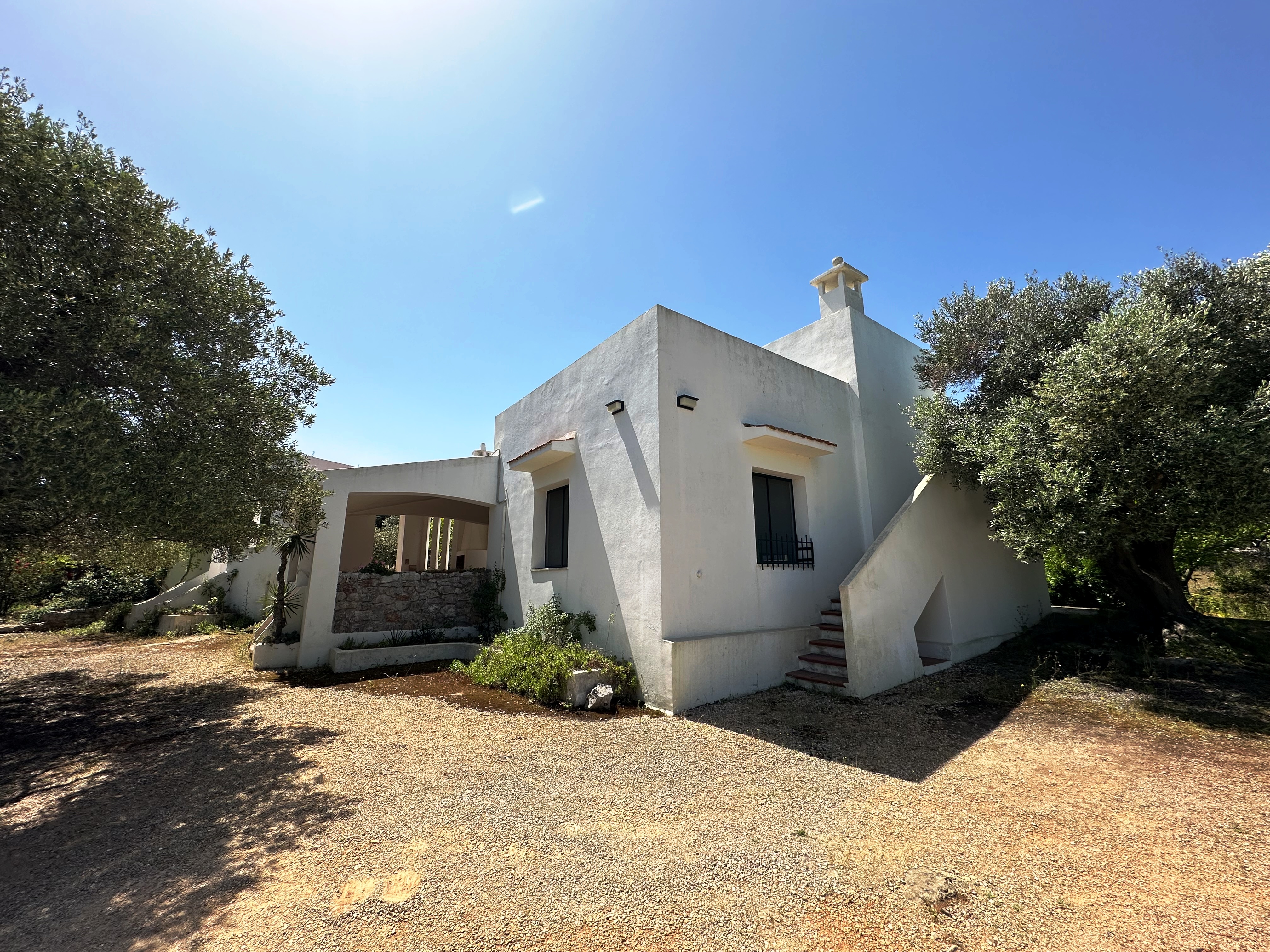 Villa and Trullo to restore in the countryside in Ostuni - 2