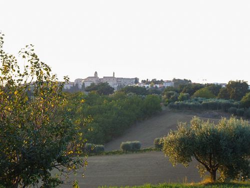 A farmhouse with a view - 4