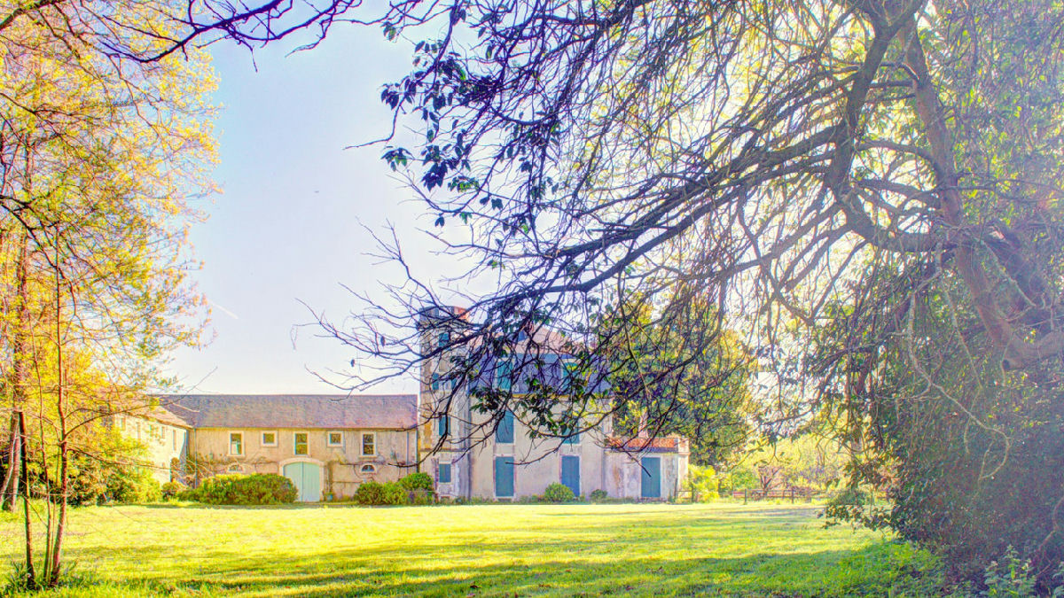 Unique 19th-Century Château near Pau with Gîte, Cottage to Renovate, Pool, 1.5 Hectares, and Views - 2