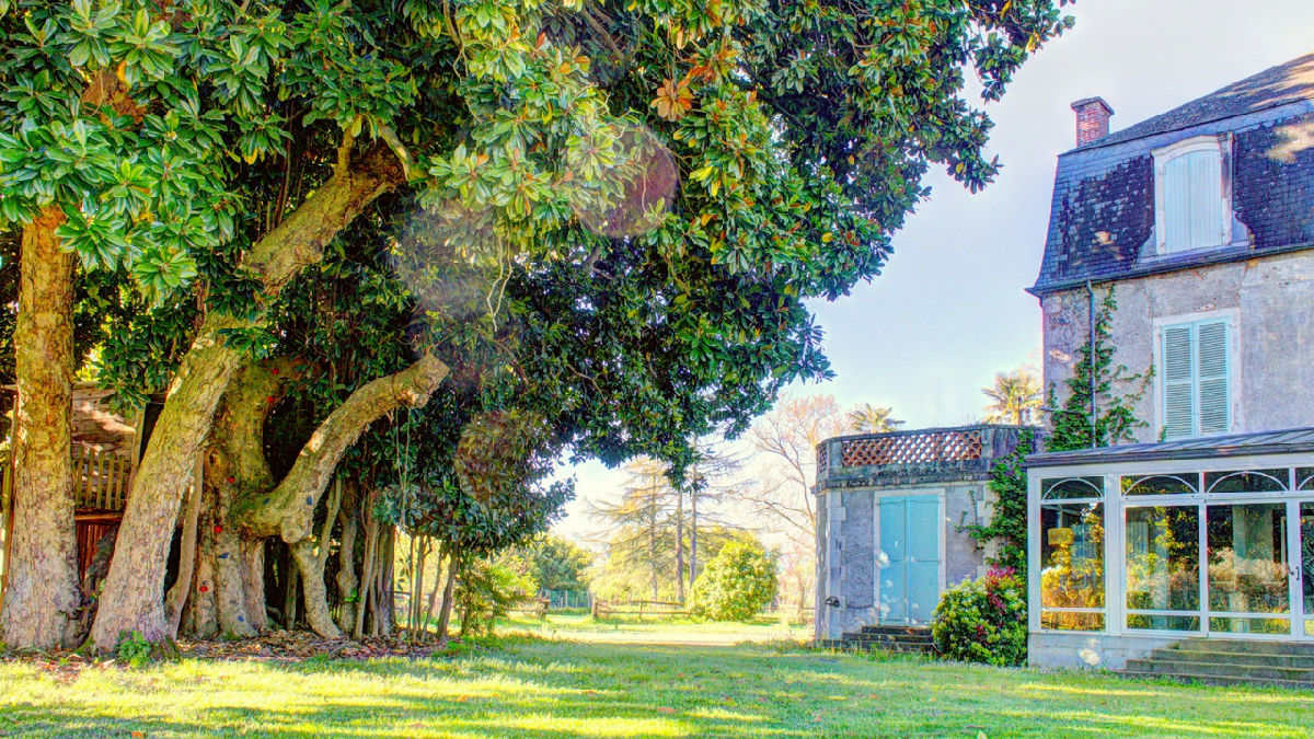 Unique 19th-Century Château near Pau with Gîte, Cottage to Renovate, Pool, 1.5 Hectares, and Views - 9