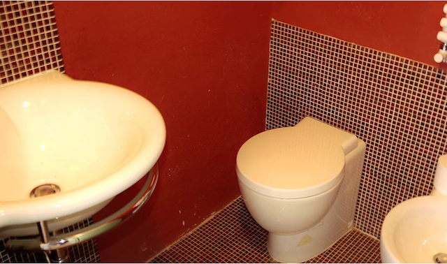 Renovated apartment on 2nd floor with 2 bedrooms, 2 bathrooms living and separated kichen. small storage on the groundfloor. Right in the heart of one of the most beautifull Borgo's of the Chianti! - 12