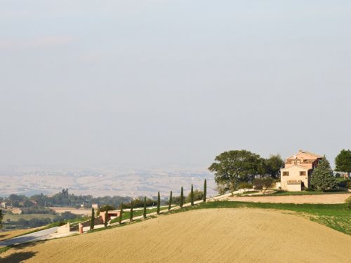 Uniquely located Country House - 5