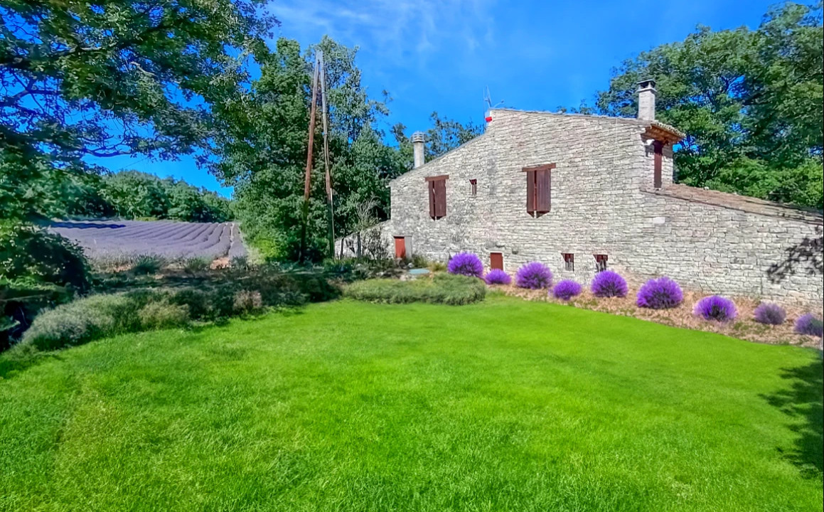 Authentic Provencal farmhouse in the heart of nature near the village of Vachères - Luberon - 4