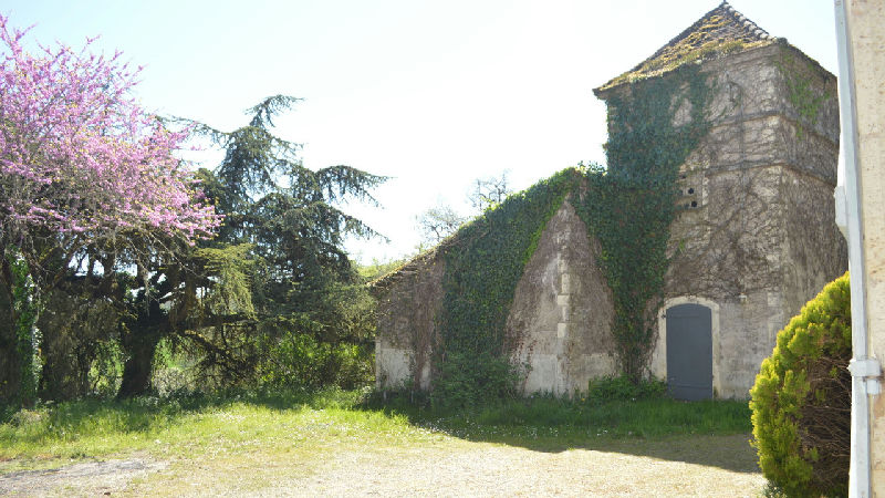 Just 10 minutes from Agen and the A62 motorway, a property spanning over 4.4 hectares with fully fenced woodland - 4
