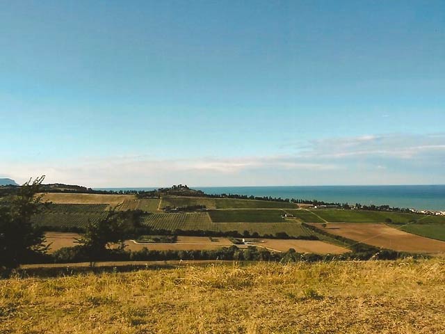 Civitanova Marche - 2