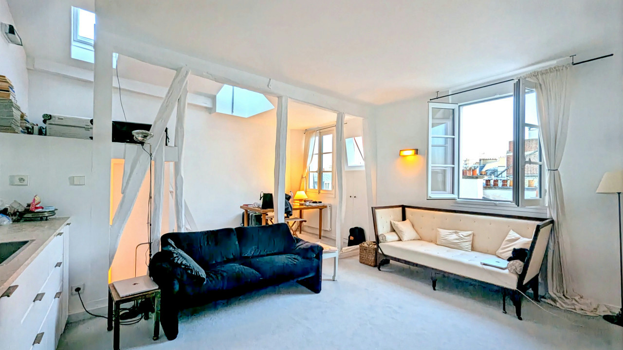Paris 11th / Magnificent apartment 3 rooms, newly renovated, top floor, fireplace, sunny