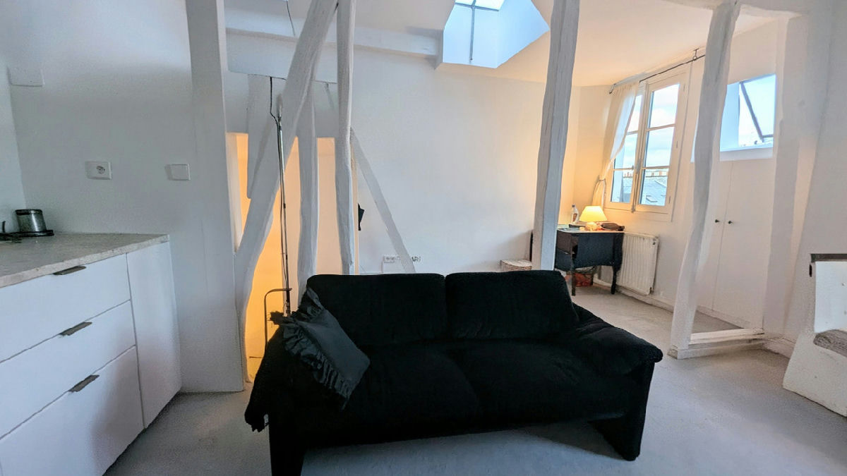 Paris 11th / Magnificent apartment 3 rooms, newly renovated, top floor, fireplace, sunny - 2