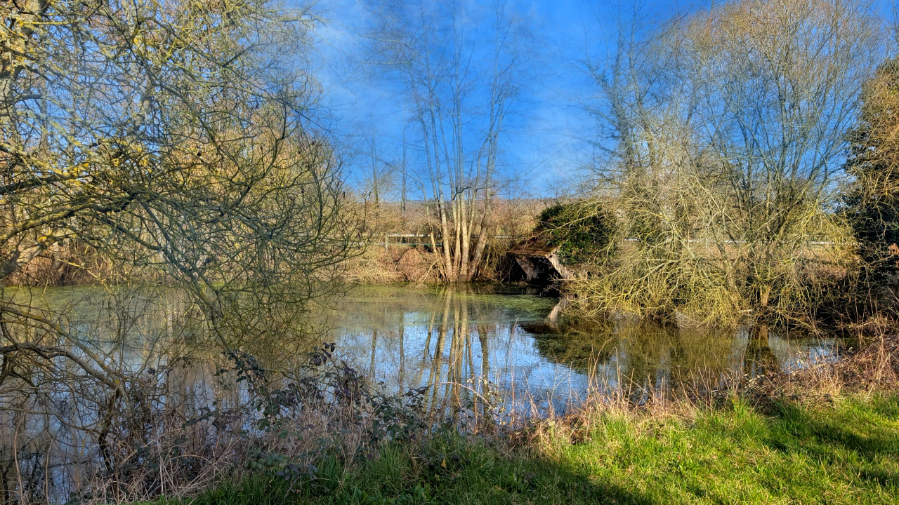 Maison Maugis, 17th-century residence. Charming property with outbuildings on 2.4 hectares, beautiful views - 2
