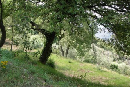 Building site near the village with views to the Mediterrane - 3
