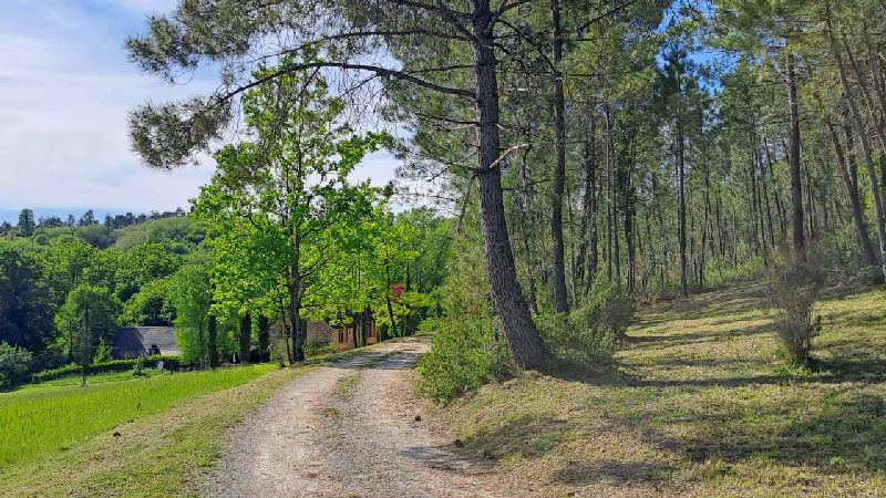 Authentic Périgord Estate on 9 Hectares - 3
