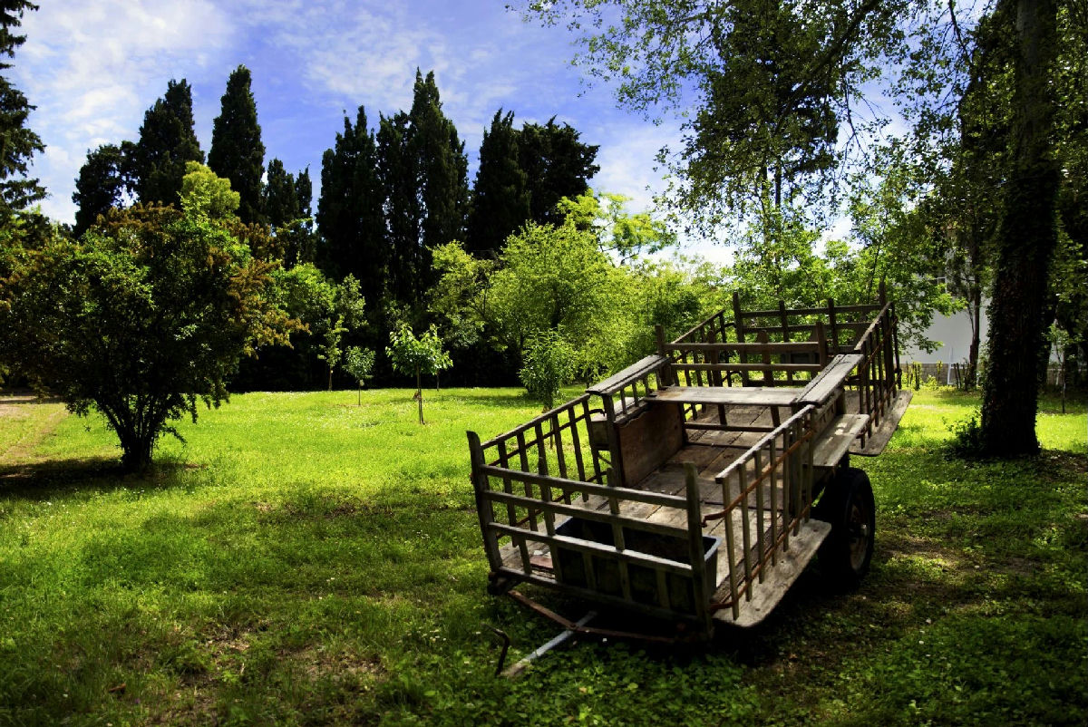 A superb Camargue property just 10 minutes from the beaches - 7