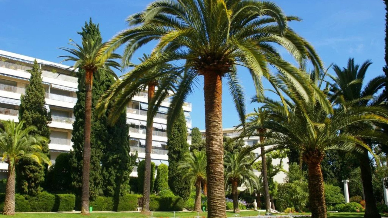 Renovated 3-room apt, 80m², 2 beds, 1 bath, 1 toilet, cellar & underground parking. Fully equipped & furnished - 3