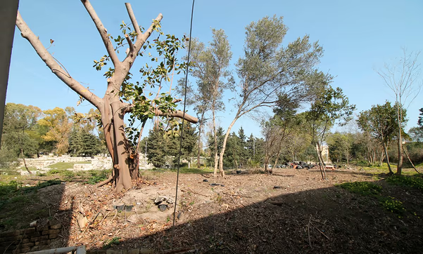 Spacious flat in Syracuse within walking distance of famous Ortigia - 10