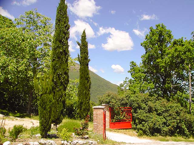 Charming Borgo with B and B license - 2