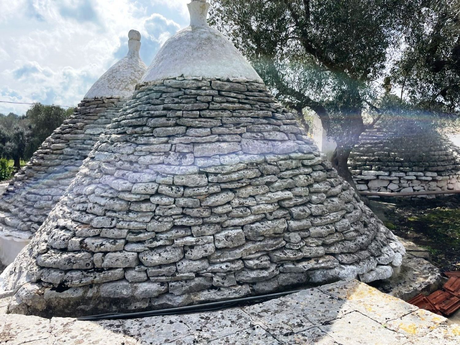 Farmhouse with trulli in the countryside of Ceglie Messapica - 4