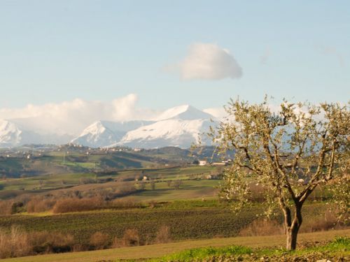 Turn-key project with views - 3