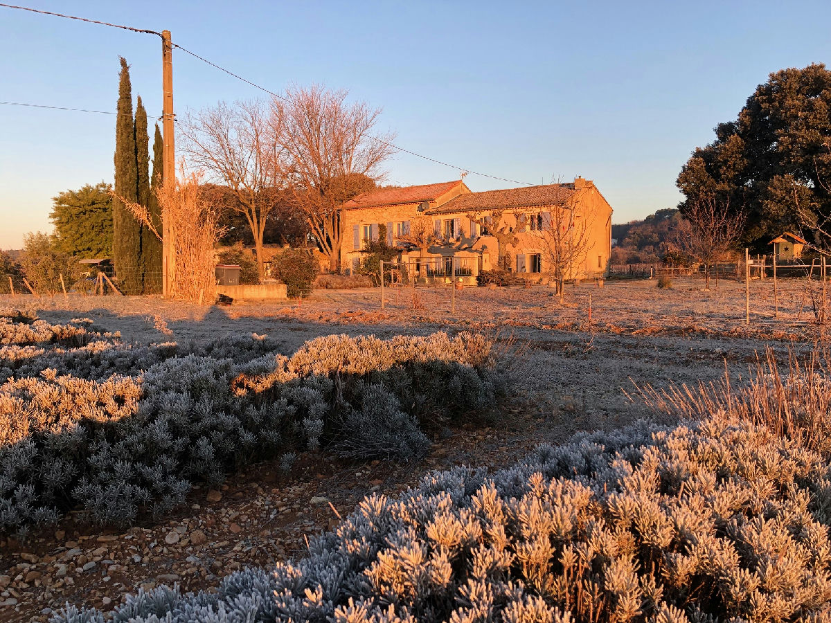 Provencal Mas between vineyards and lavender fields for sale - 16