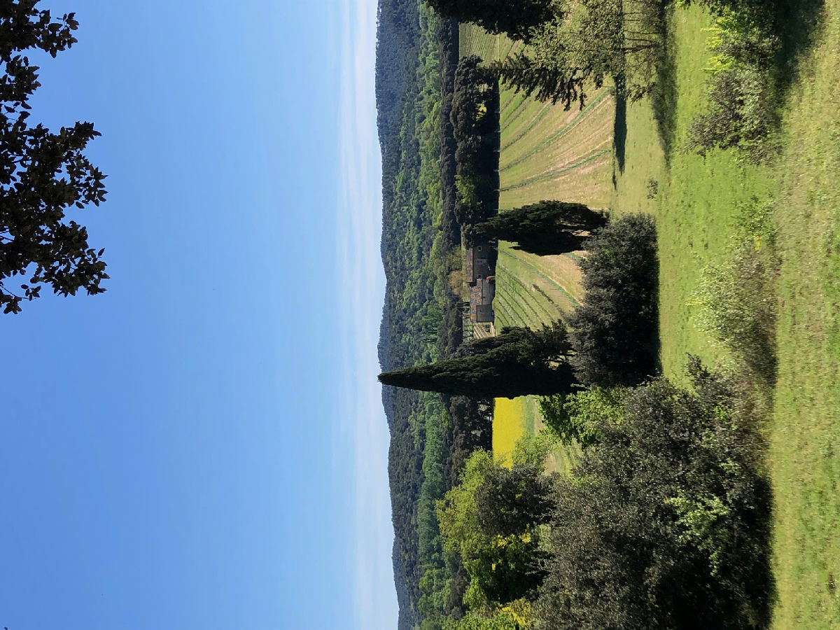 Provencal Mas between vineyards and lavender fields for sale - 17