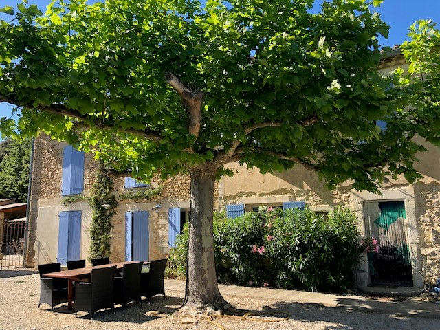 Provencal Mas between vineyards and lavender fields for sale - 18