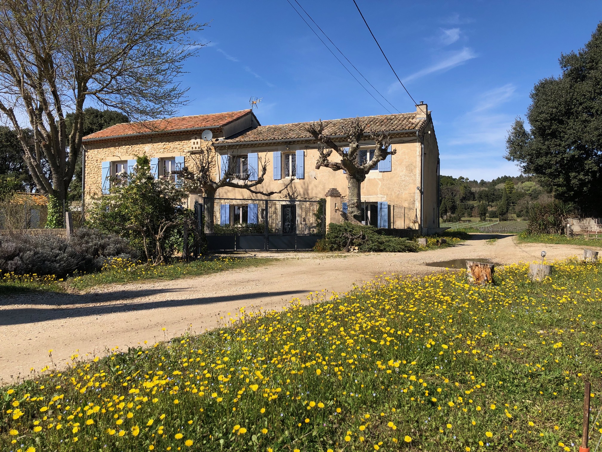 Provencal Mas between vineyards and lavender fields for sale - 3