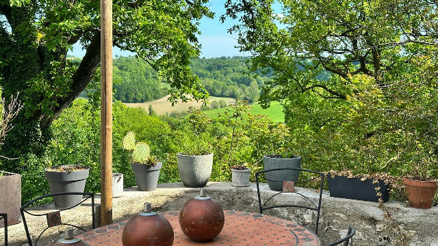 Stylish 3 bed house, 2 bed gite with pool and terraces set in 8Ha with stables and fenced paddocks - 3