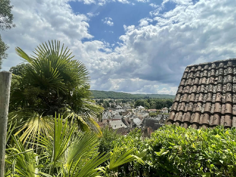 Old house with gîte, garage and swimming pool on 1500 m² plot - 5