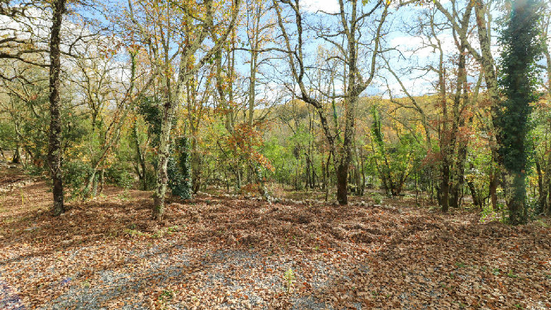 Modern 2024 contemporary home with pool, large terrace & independent apartment in St-Hippolyte-du-Fo - 5