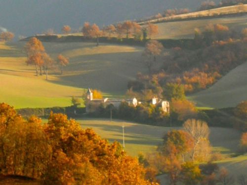 Restoration Project - 2