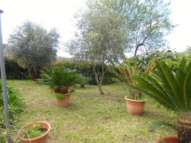 Villa near Bordighera - 4