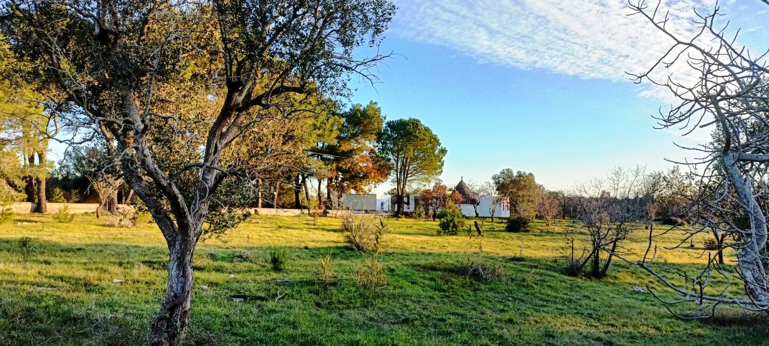 Trullo with Lamia in the countryside of Ceglie Messapica