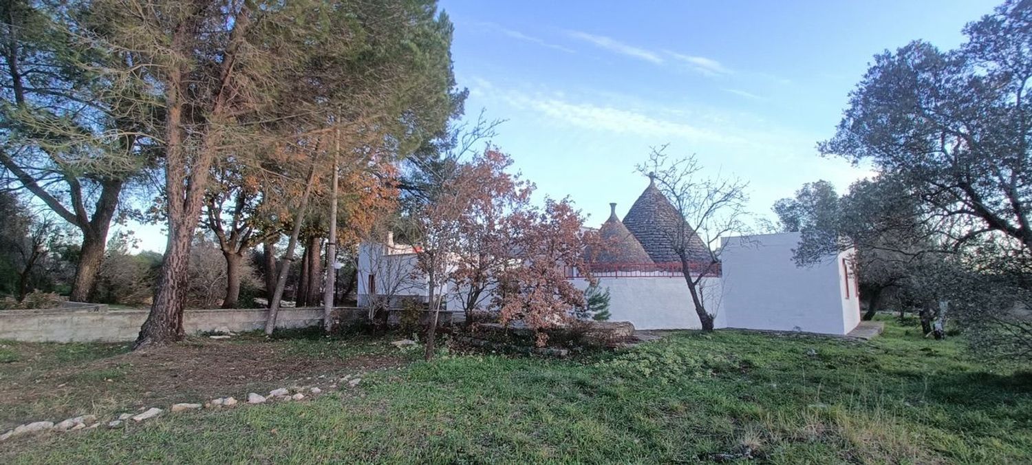 Trullo with Lamia in the countryside of Ceglie Messapica - 2
