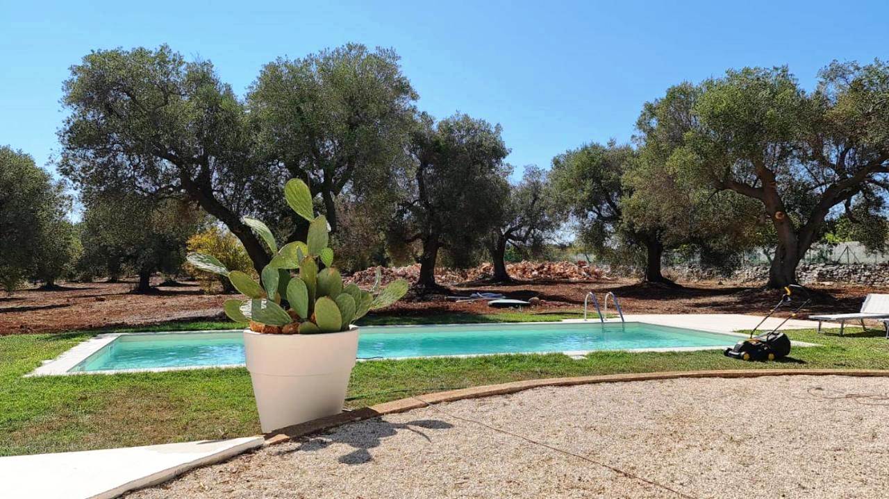 Villa with pool in the countryside of San Vito dei Normanni - 2