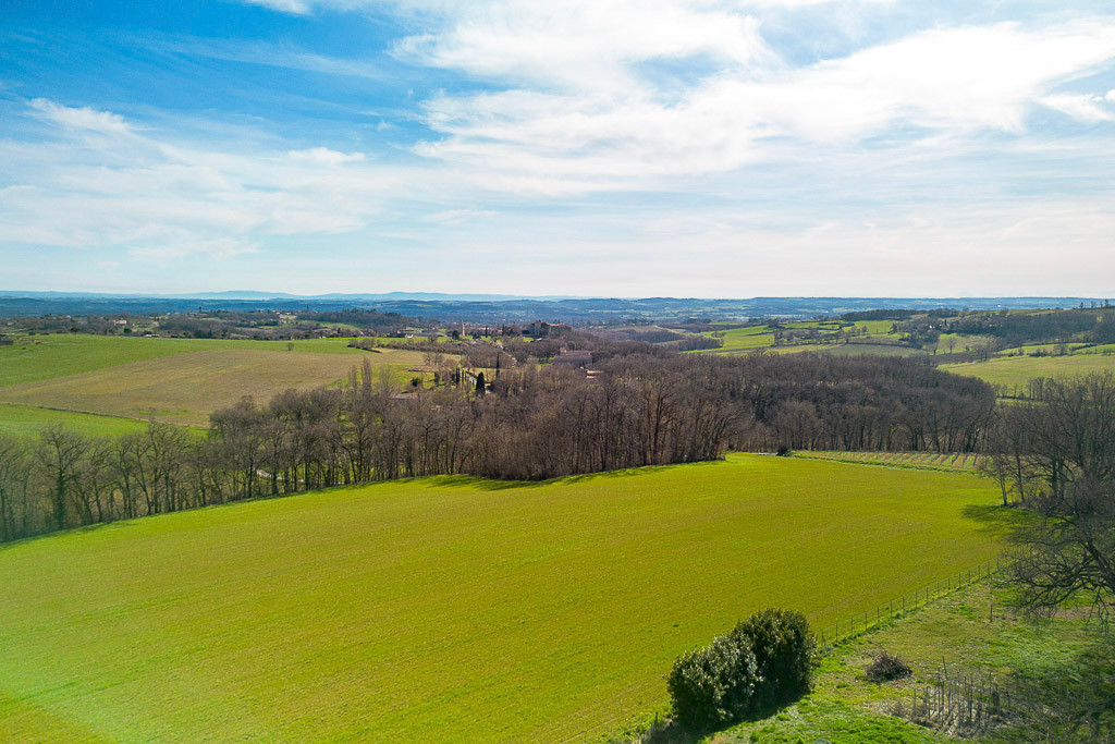 Superb 5 bedroom Maison de Maître with 3-Bed Gîte, Barn & Pool near Gaillac and Toulouse - 3
