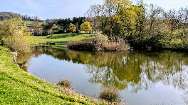 A peaceful haven – 1905 farmhouse with cottage and pond - 2