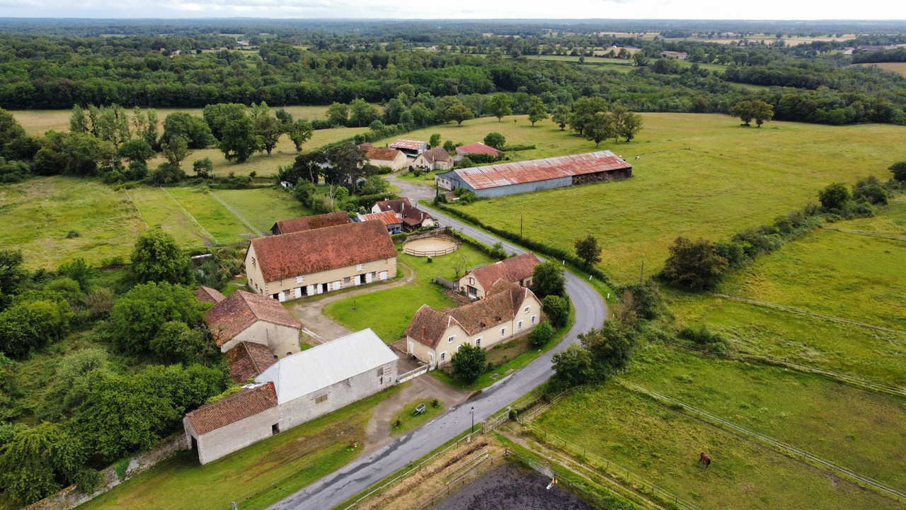 Horse estate of 31-ha with house, stables, and swimming pool - 5