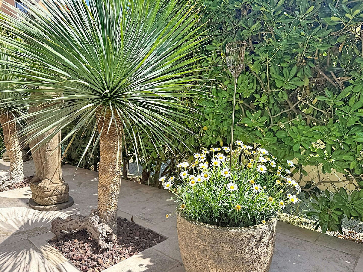 Antibes - Val Claret - Ground-floor apartment with a private 320 m² garden - 12