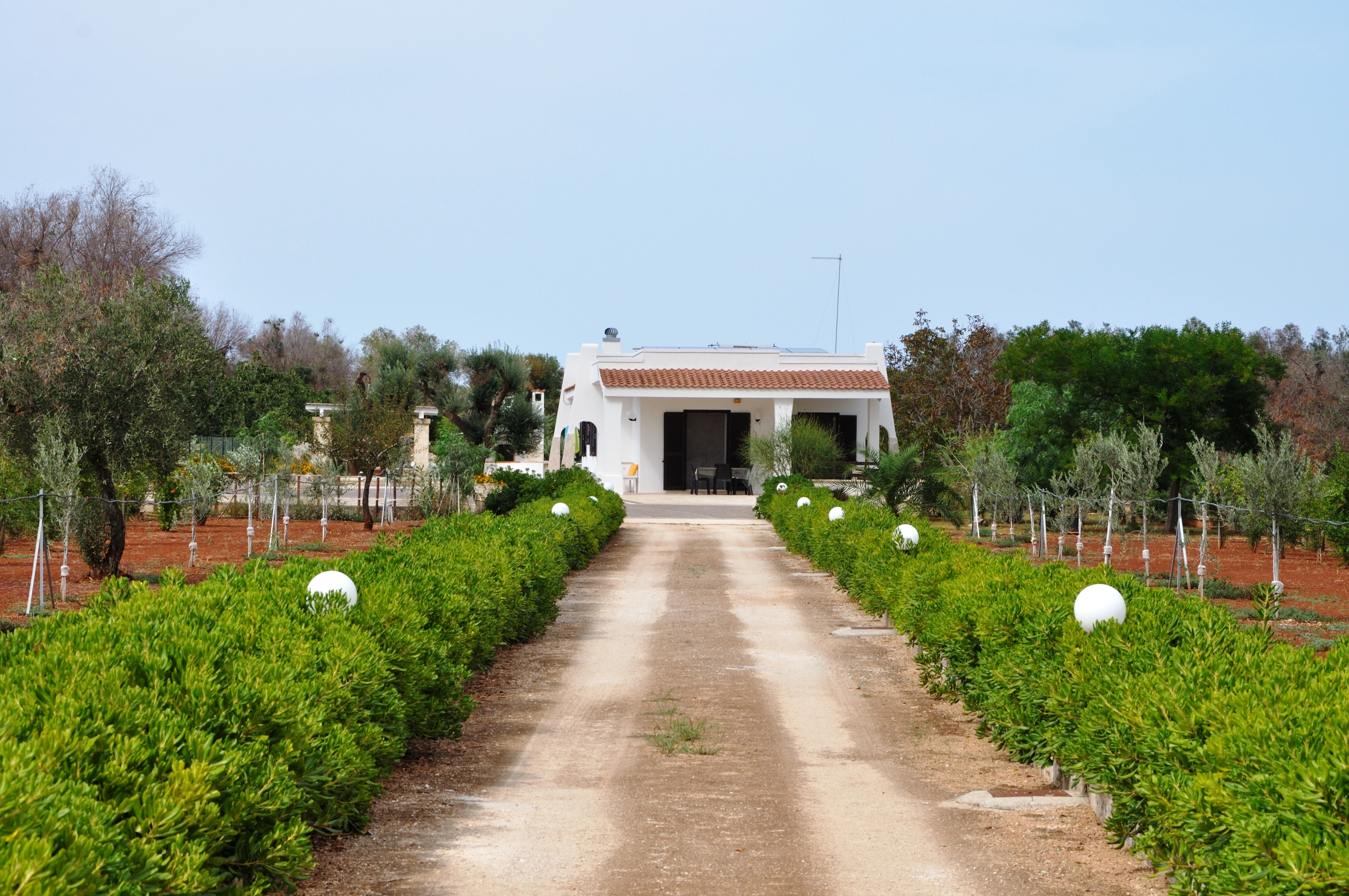 Villa with swimming pool in the countryside of San Vito dei Normanni