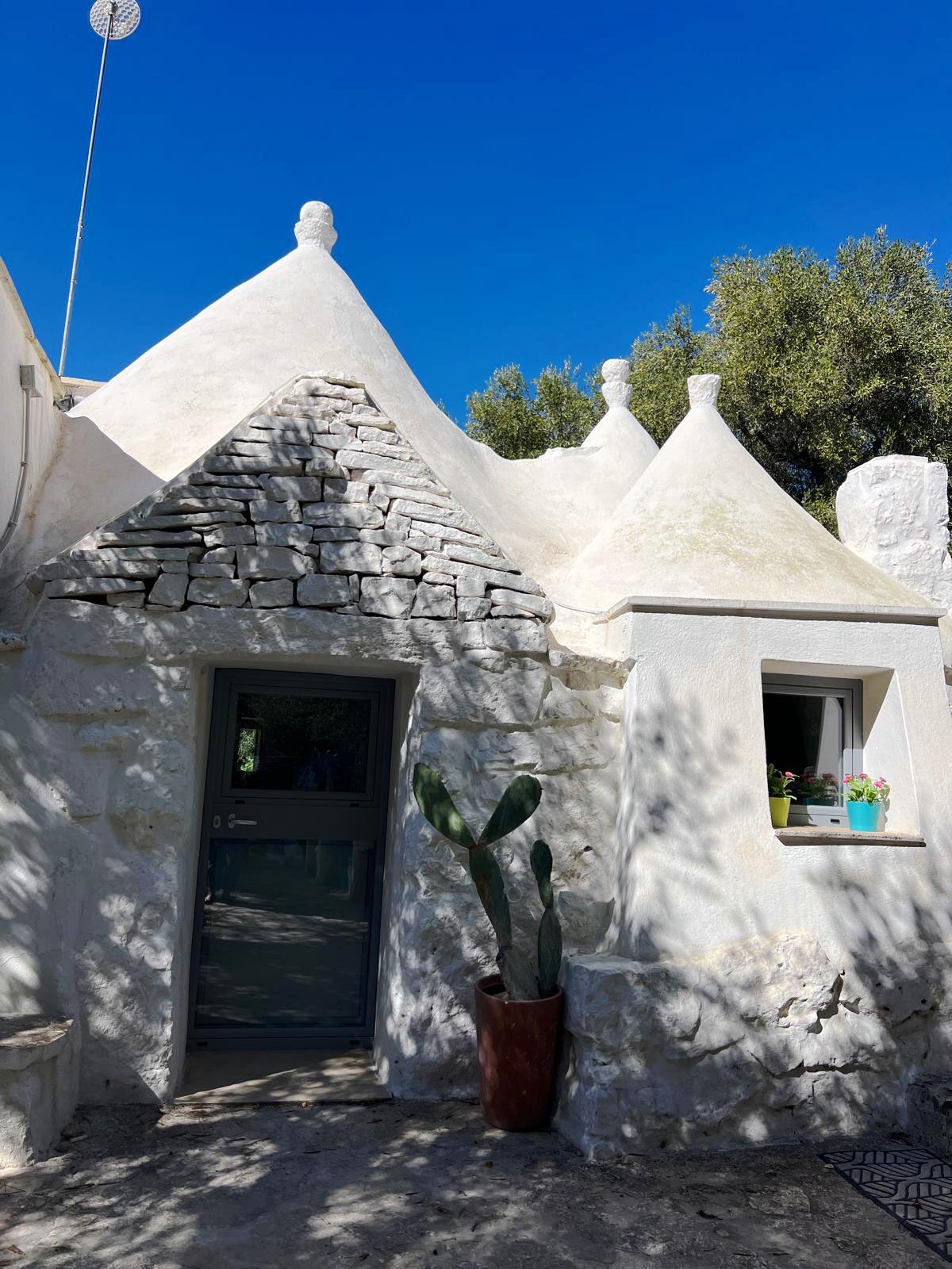 Trullo in the countryside of Ceglie Messapica - 2