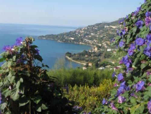 Palace of the Seabirds Overlooking the Hanbury Gardens
