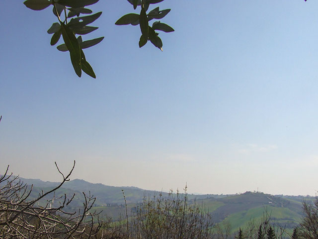 Traditional Farmhouse Dated 1885 - 5