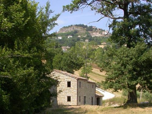 Country house with circa 2 hectares of land - 3