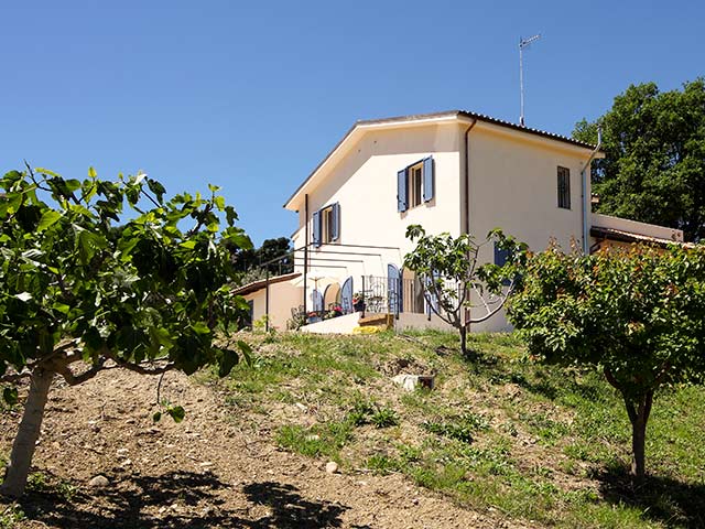 Restored Country House with a View on the Adriatic Sea - 5