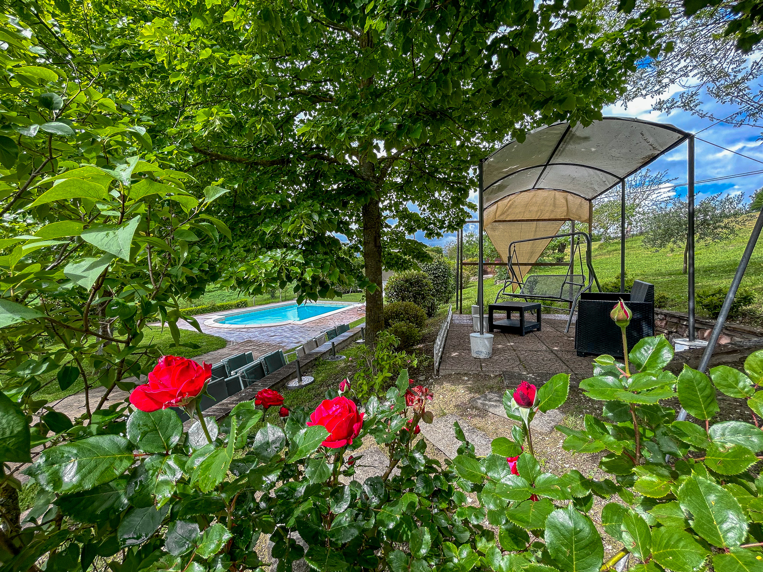 Beautiful B&B with pool - 3