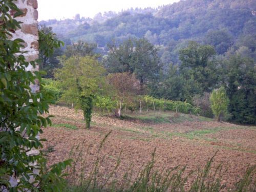 400 years old house with vaulted ceilings - 4