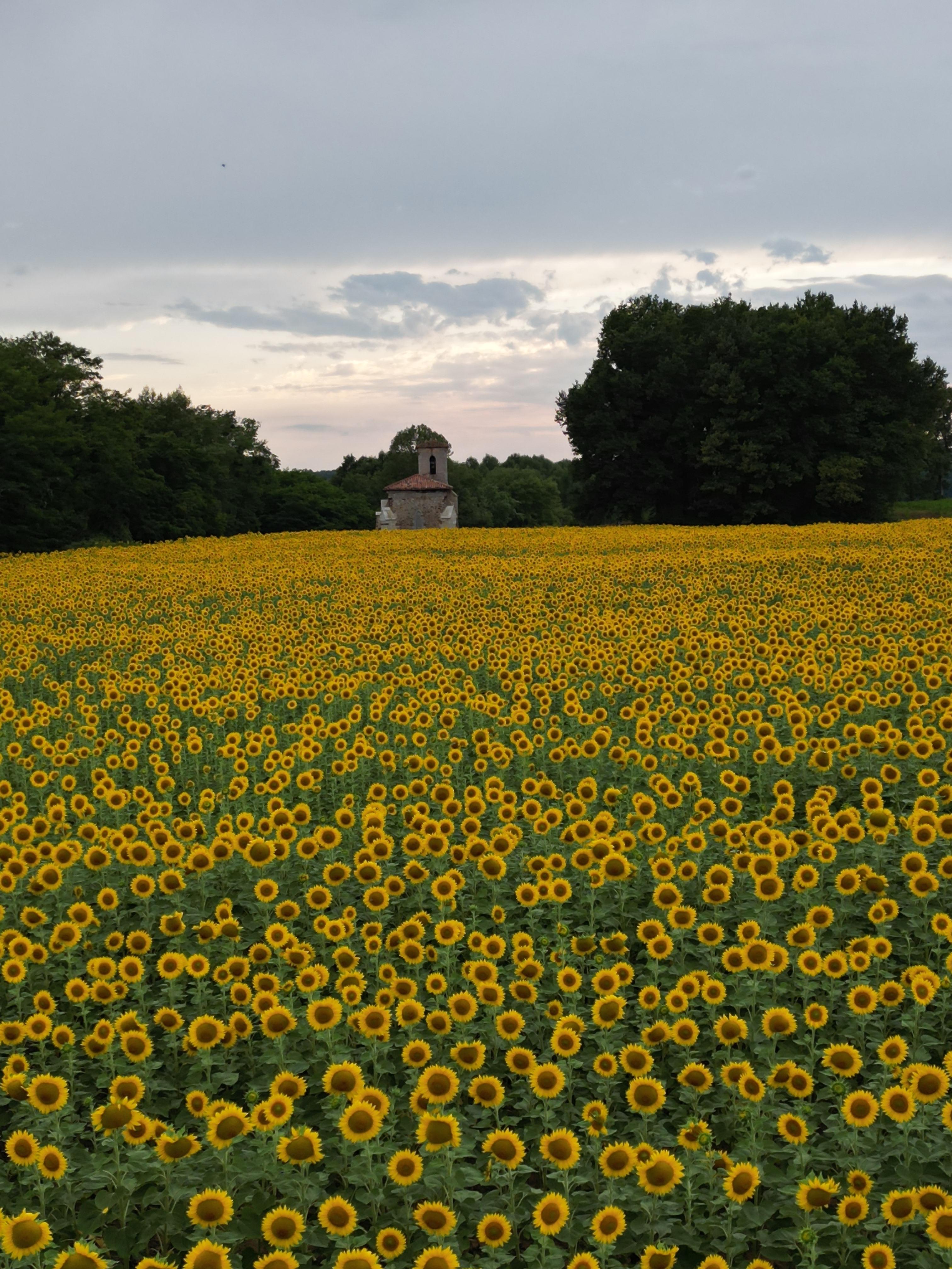 Beautiful Rustic campsite south west France for sale - 2