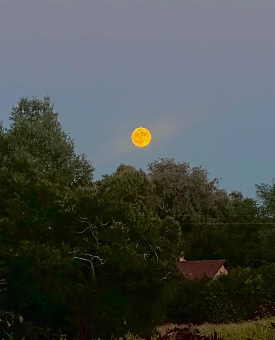 Beautiful Rustic campsite south west France for sale - 5